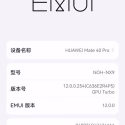 华为HUAWEI Mate 40 Pro
