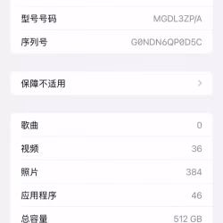 iPhone12pro man