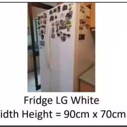 LG 双门冰箱出售