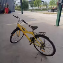 自行车