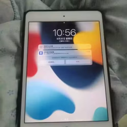 ipad mimi4 64g