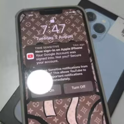 iPhone 13 pro max 256gb