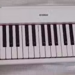 Yamaha电子琴