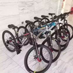 高品质 自行车