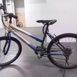 湖畔 二手自行车