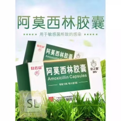 特效消炎药阿莫西林