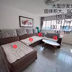 沙发️