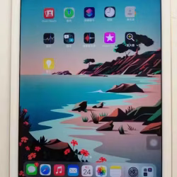 iPad air2 32g（已卖出）
