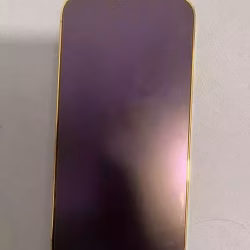 iPhone 13 Pro max256G