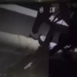 自行车