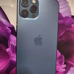 9.9成新苹果手机，原机蓝牙耳机 12pro Max 256GB
