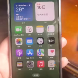 苹果14por256G