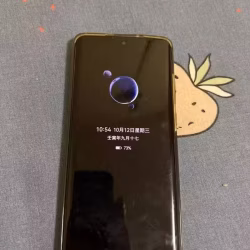 P50 pro