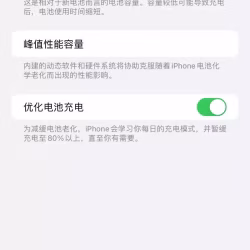 iPhone 13 Pro Max 256GB