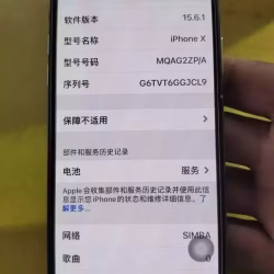 苹果X