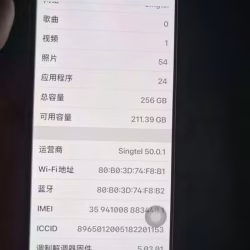 苹果X