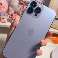 苹果手机13 Pro Max