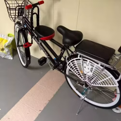 全新自行车