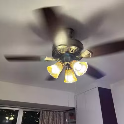 带灯吸顶风扇