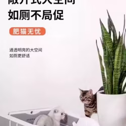 电动猫砂盆