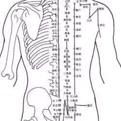 男推拿按摩治疗师。有证书，上门服务。具体看资料。谢谢欢迎预约