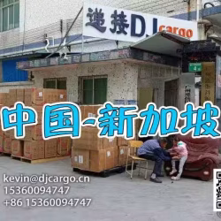 中国海运空运到新加坡可以运输哪些货物？