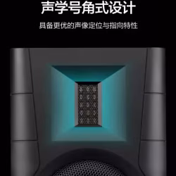 惠威D100 书架音箱秒同级漫步者 铜震膜
