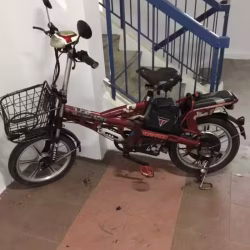 电动自行车