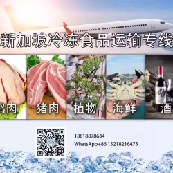 中国到新加坡冰冻货空运冷链专线