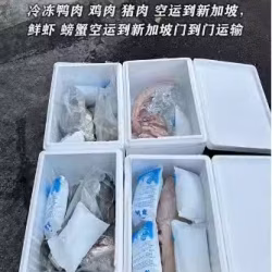 冷冻食品肉类大闸蟹空运到新加坡
