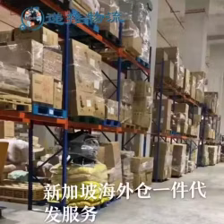 新加坡海外仓一件代发服务，虾皮/Lazada/Qoo10/亚马逊等一件代发