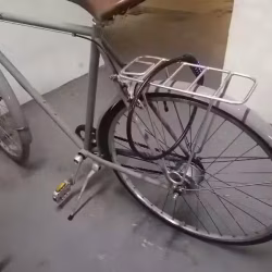 出二手LINUS（林纳斯）自行车