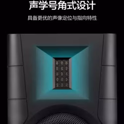 惠威D100 书架音箱秒同级漫步者 铜震膜