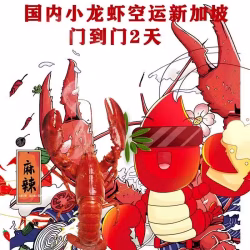 小龙虾如何运输到新加坡，多少天能到？小编带你了解