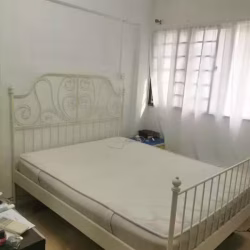 双人床＋垫子，100,AMK随时自取，木门，移动空调，屏风
