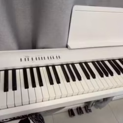roland fp30x