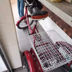 新买的三轮车