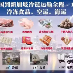 冷冻食品/冷冻生鲜海运拼箱到新加坡物流服务