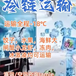 冷链运输到新加坡，操作流程全程解读