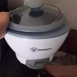 Wasting house 电饭锅 (一个人)