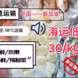 冷冻食品“乘风破浪”到新加坡都需要注意哪些问题？
