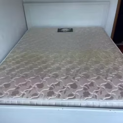 Queensize 床垫$50