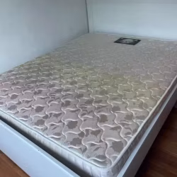 Queensize 床垫$50
