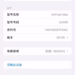 Air pods Max