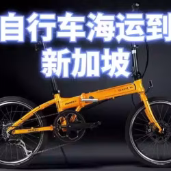 自行车/轮胎/汽配整柜出口到新加坡，海运费多少？