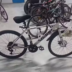 公路车