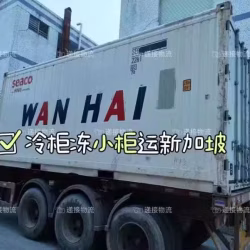 冷冻柜整柜海运新加坡，正确的问价方式和运输流程