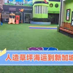 仿真植物人造草坪假花假树可以海运到新加坡吗？
