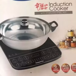 电动炉 和 锅 电磁炉