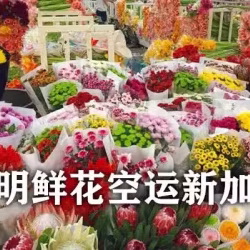 昆明鲜花如何空运运输新加坡,鲜花运输新加坡需要哪些资料
